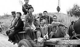 电视剧知青在线观看,知青岁月的青春记忆